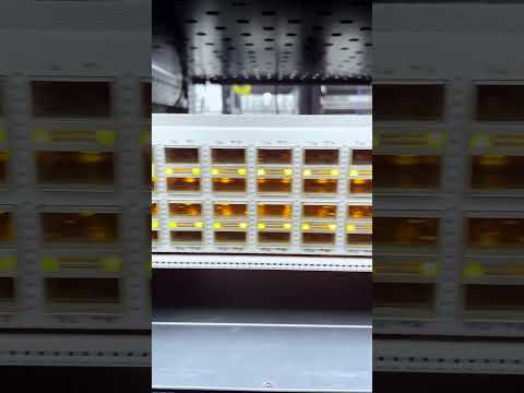 Our test switch! #shorts #youtubeshorts #network #homelab #ethernet