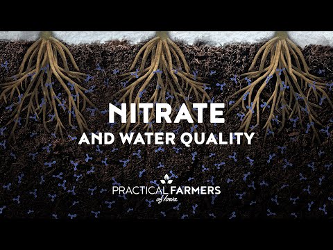 Nitrate and Water Quality