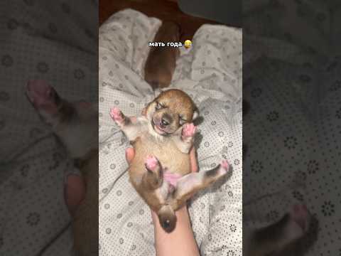 😂