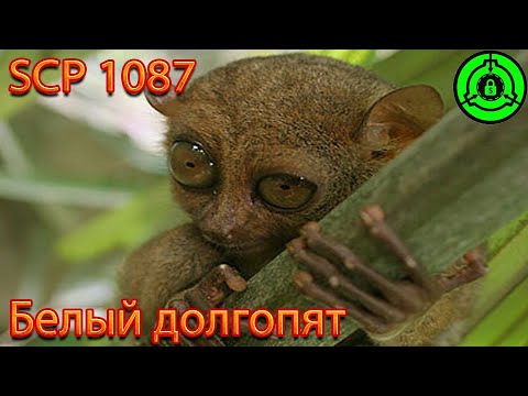 SCP 1087 - Белый долгопят
