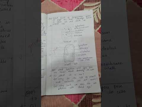 class 8 biology lesson 2.Cell-the basic unit of life notes