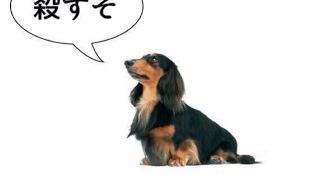たろうむー のライブ ストリーム