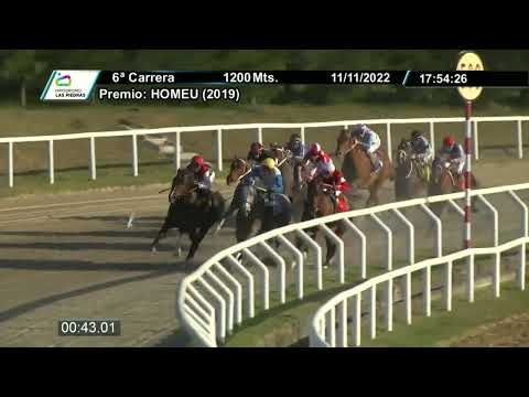 221111 c06 - NALGON - HIPODROMO LAS PIEDRAS