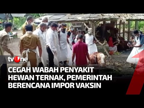 , title : 'Hadapi Wabah PMK Pada Ternak, Pemerintah Akan Impor Vaksin | Kabar Siang tvOne'