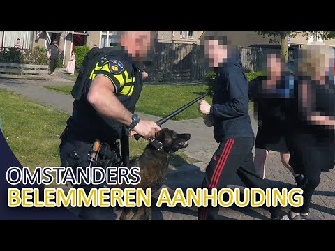 POLITIE - Omstanders belemmeren aanhouding - Inzet politiehond - Politie Almere