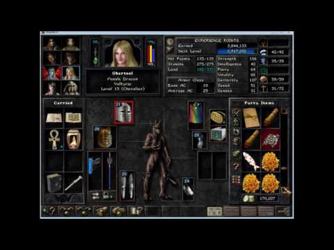 Wizardry 8 Reforged 23 - There is a dragon