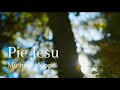 Michael Hoppe - Pie Jesu