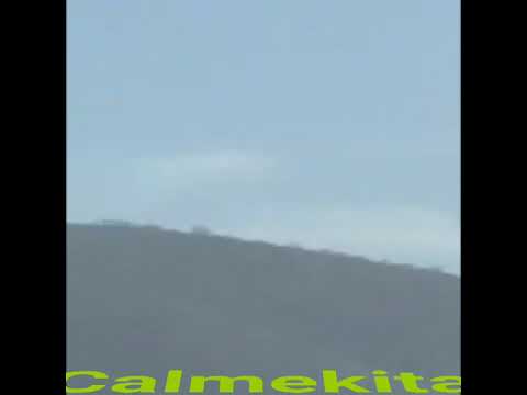 El corrido de Beto Cardozo