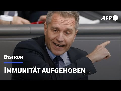 Büros von AfD-Politiker Bystron durchsucht - Immunität aufgehoben | AFP