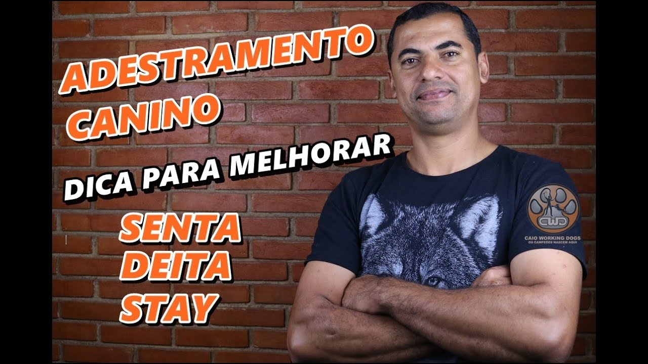 AUMENTE POTENCIALMENTE A QUALIDADE DE 3 COMANDOS BÁSICOS - POSIÇÕES - SENTA, DEITA E "EM PÉ"