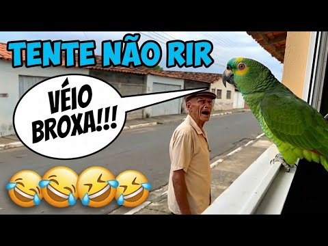 Tente Não Rir: O Papagaio Mais Engraçado Da Internet 🤣🤣🤣