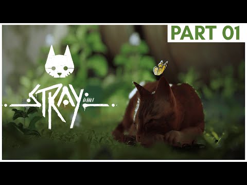 STRAY Full Gameplay Walkthrough Part 1 [PC]