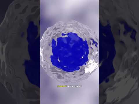 Biggest Misconceptions About Stem Cell Therapy 