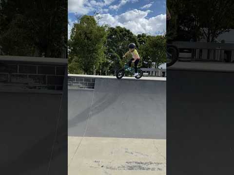 3 year old drops in on biggest ramp at skate park #BMX #bike