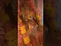 SAMAYAPURAM MARIAMMAN WHATSAPP STATUS Samayapuram Mariamman Whatsapp Status