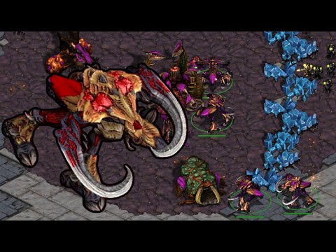 CRAZY ZERG. | CNSL 7