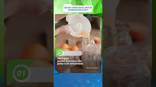 Selain Gunakan Skincare, Rutin Konsumsi 3 Buah Ini Bikin Kulit Sehat dan Glowing secara Alami