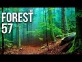 THE FOREST [HD+] #057 - Selbst Bewusstsein ist ...