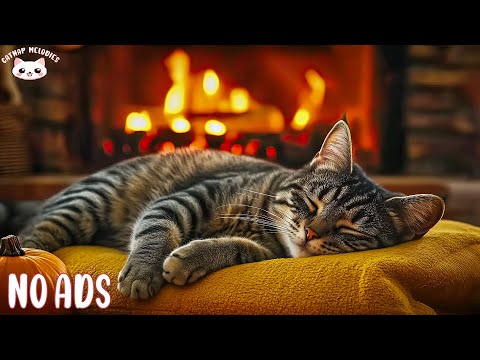 Cat Healing Music 🐈 Deep Soothing Music for Anxious, Ill, and Stressed Cats