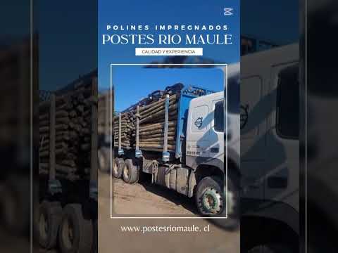 POSTES RIO MAULE # #chile #video #agricultura #polines #rioclaro #postes #viral