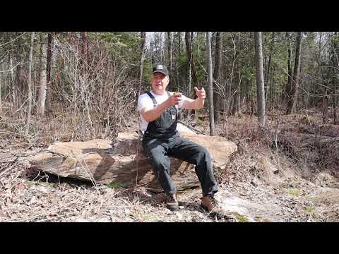 #275 Building a cottage or garage? Things you need to know. Woodshed build update. Part 2. outdoors.