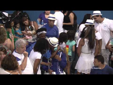 EDIÇÃO ESPECIAL - PORTELA DE ASAS ABERTAS