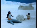 052 Pingu Robi Bałwana