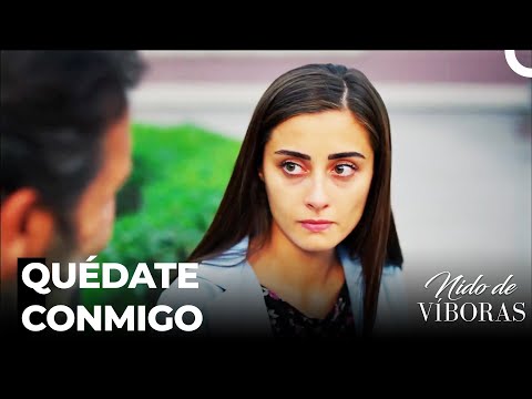 Elvan No Me Rendiré Contigo - Nido De Víboras