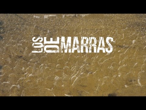 Los De Marras - Ruido (Lyric Video)