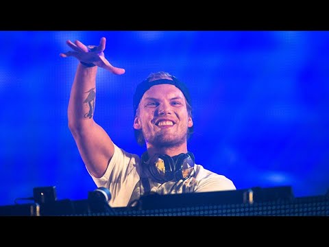 House - Calvin Harris, Avicii, Martin Garrix, Chemical Brohters, Swedish House Mafia, Paul Van Dyk