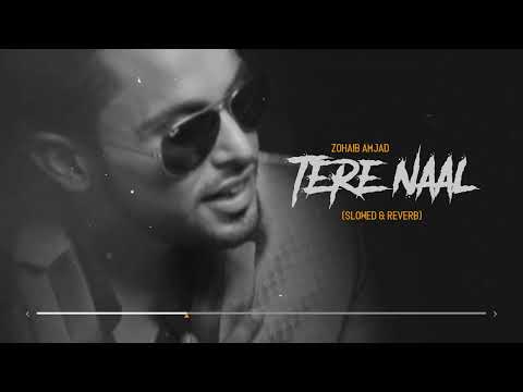 Zohaib Amjad - Tere Naal (Slowed & Reverb) | Punjabi Romantic Song