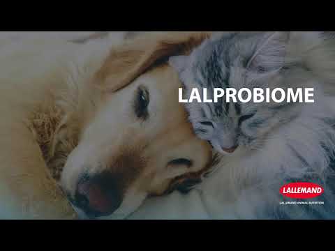 LALPROBIOME | Lallemand Animal Nutrition