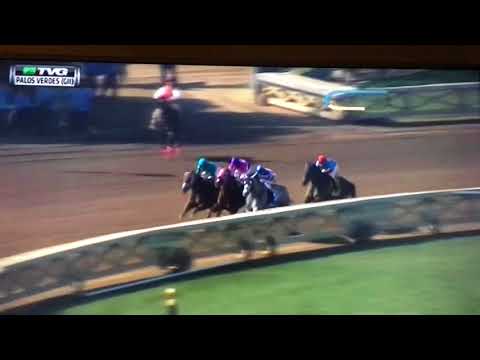 PALOS VERDES (G 2 STAKES) $200,000 2/3/18 - ROY H !!!