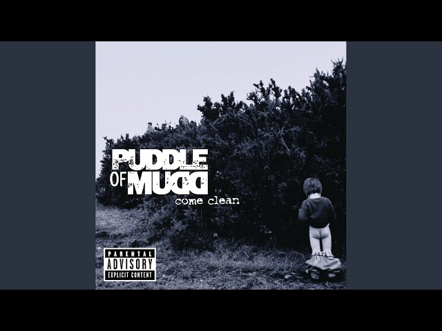 Puddle of Mudd: Una carrera musical llena de altibajos