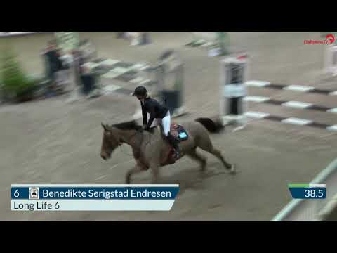 For salg - Long life - vallak født 2008