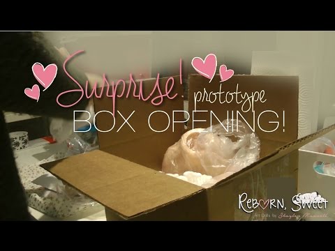 PROTOTYPE Box Opening Sculpt *Reborn, Sweet*
