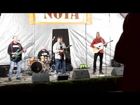 Prospect - Chromé koně