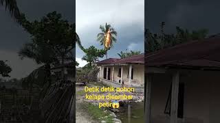 Download lagu detik detik pohon kelapa disambar petir😱😱 #viral #short#viralvideo #shorts mp3 Download lagu detik detik pohon kelapa disambar petir😱😱 #viral #short#viralvideo #shorts mp3