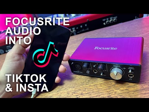 How to bring audio into Tiktok & Instagram with a focusrite scarlett