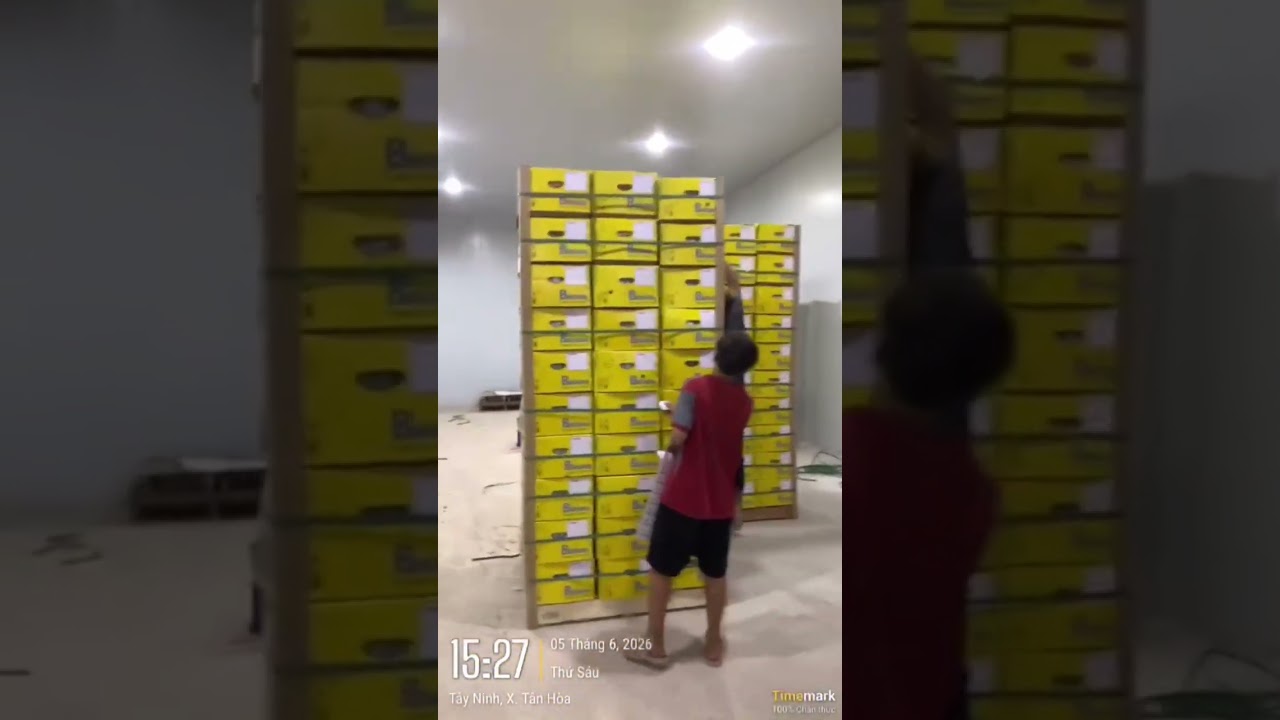 Hành trình xuất khẩu Banana