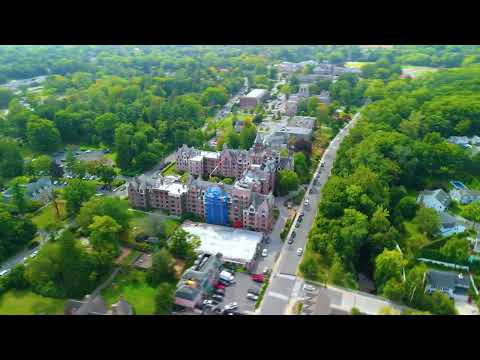 Living in Rye, NY | Suburban Jungle