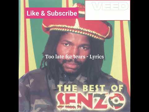 Senzo - Too late for tears LYRICS