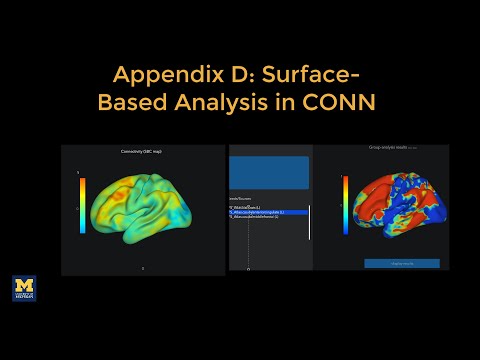 Conn Tutorial Appendix D Surface Based Analysis