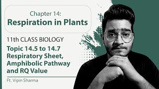Topic 14.5 to 14.7: Respiratory Balance Sheet, Amphibolic Pathway & RQ Value | Respiration in Plants