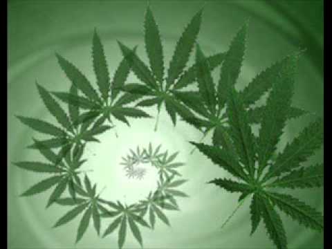 MC WT DACAXÚ - MEGA DA MACONHA