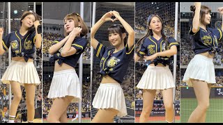 【Passion Sisters】#波波#曼容#晴兒#妮可#凱蒂#飛向黃潮#台湾チアリーディングチーム#中華職棒#CPBL#洲際#20240922（周思齊引退賽）