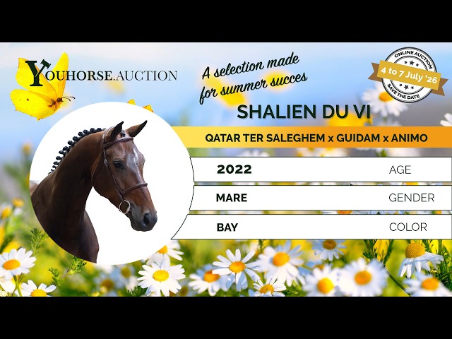 Shalien du Vi