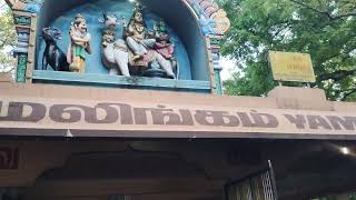 Temple video