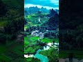 Tajmahal Bgm AR Rahman Collection Nature World