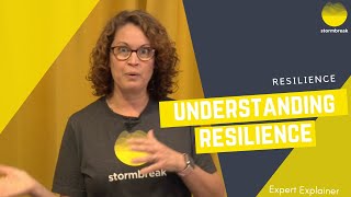 understanding resilience 